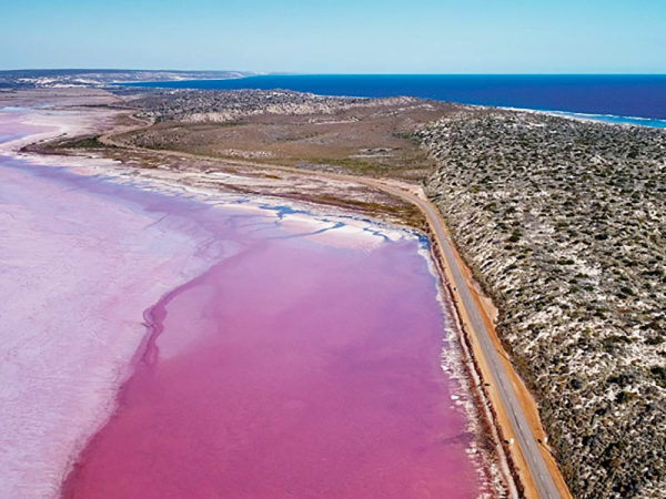 探索活力澳洲！永安旅遊限定7日來回機票每單減0！ 