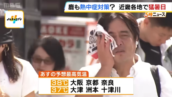 日本奈良鹿聚集噴霧附近避暑！遊客打卡大讚聰明！ 