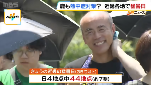 日本奈良鹿聚集噴霧附近避暑！遊客打卡大讚聰明！ 