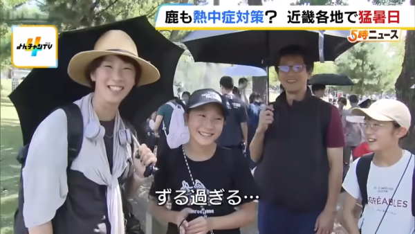 日本奈良鹿聚集噴霧附近避暑！遊客打卡大讚聰明！ 