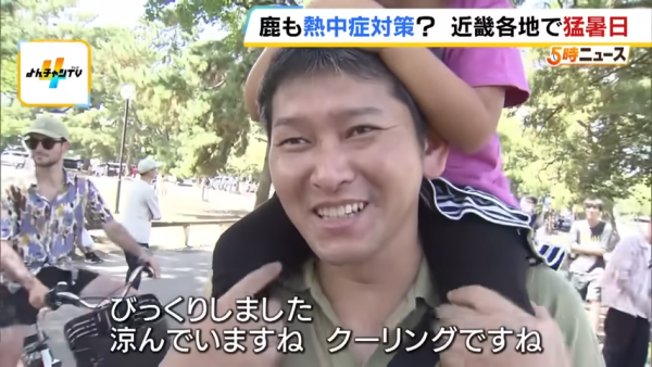 日本奈良鹿聚集噴霧附近避暑！遊客打卡大讚聰明！ 