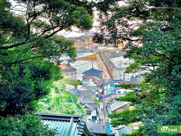 江之島神社回望商店街（韋珈萱攝）