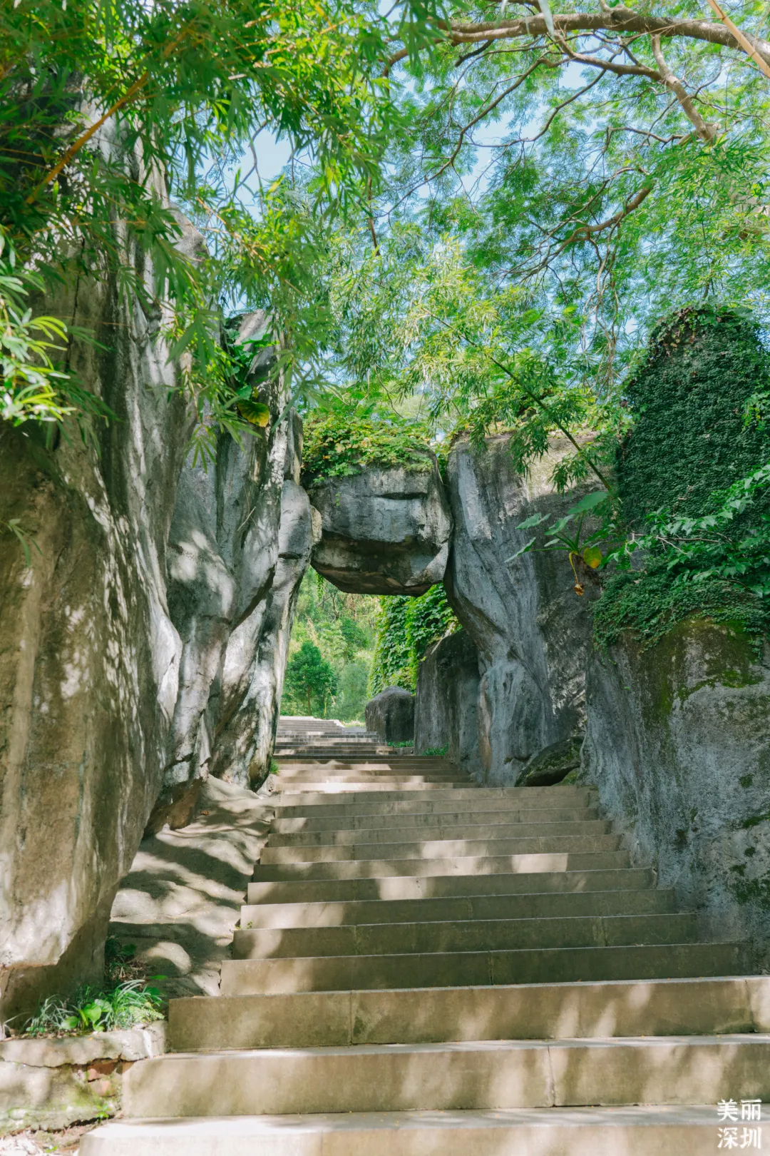 翠竹公園（圖片來源：羅湖發布微信公眾號）