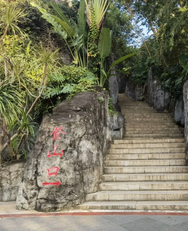 翠竹公園（圖片來源：羅湖發布微信公眾號）