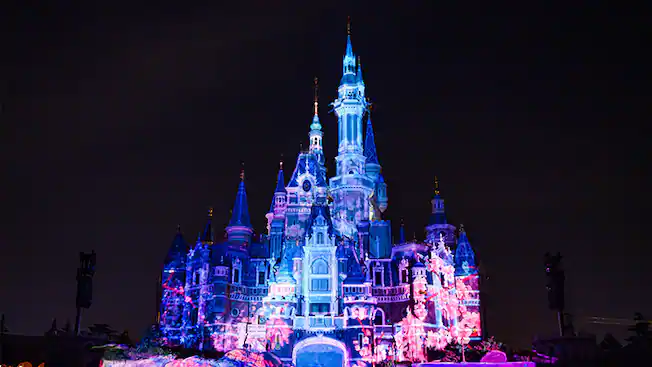 上海迪士尼「廁所卡」設限時惹爭議！女遊客超時需重新排隊 當場跪地崩潰大哭 