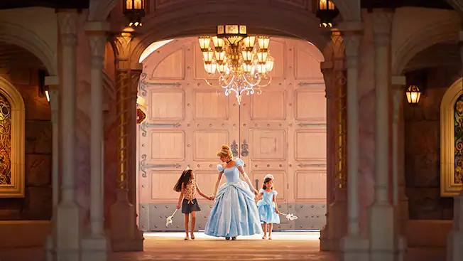 上海迪士尼「廁所卡」設限時惹爭議！女遊客超時需重新排隊 當場跪地崩潰大哭 