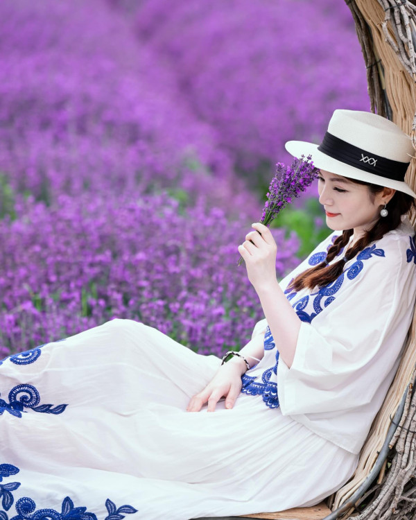 Lily Collins性感金裙現身首映禮！粉絲卻指顏值崩壞？ 