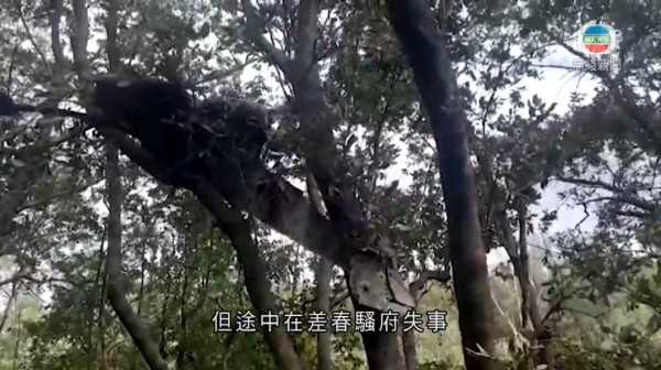 泰國小型飛機墜毀釀9死 死者身份曝光包括5名來自香港中國遊客 