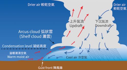 弧狀雲的形成示意圖（圖片來源：香港天文台）