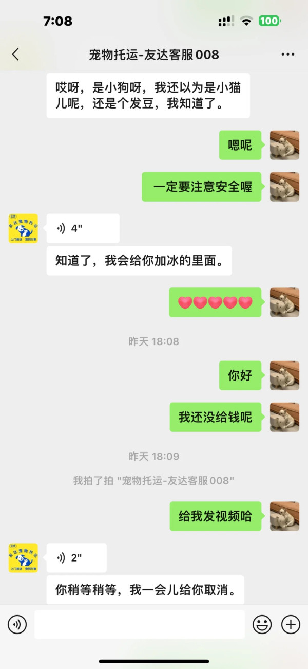 內地女航空托運寵物犬獲「保證安全」 未料收噩耗 揭發真相惹網民震怒 