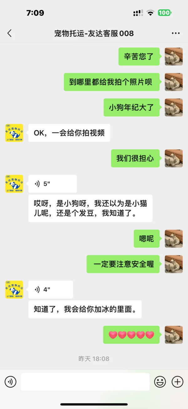 內地女航空托運寵物犬獲「保證安全」 未料收噩耗 揭發真相惹網民震怒 