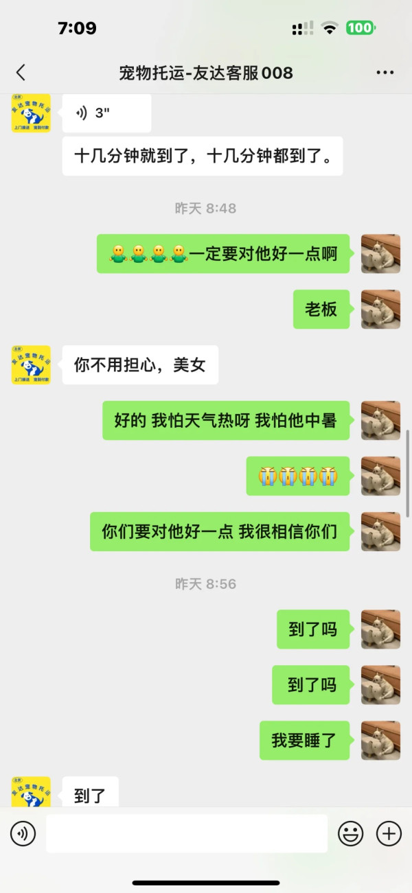 內地女航空托運寵物犬獲「保證安全」 未料收噩耗 揭發真相惹網民震怒 