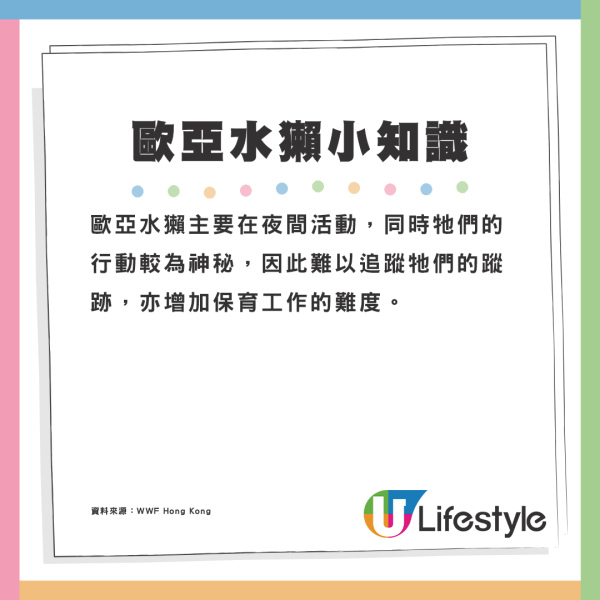 5個不為人知的雞蛋真相！盒裝雞蛋大小相似有原因？農場解構差異可達50%