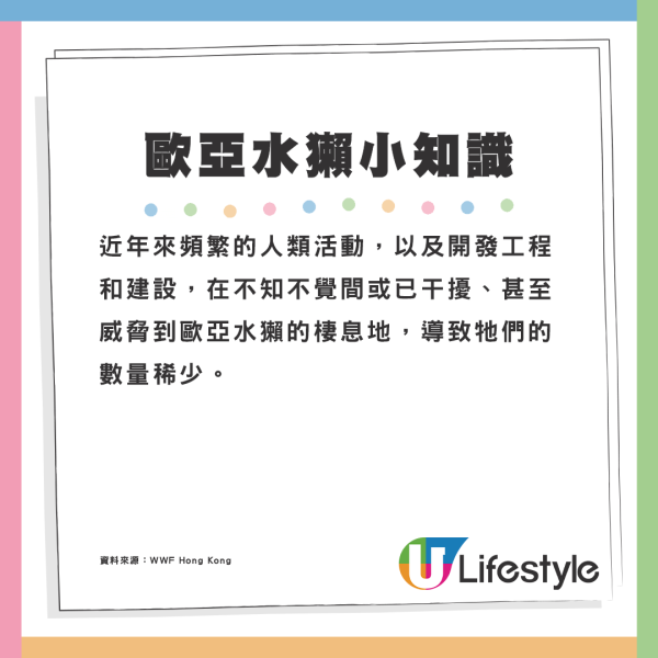 5個不為人知的雞蛋真相！盒裝雞蛋大小相似有原因？農場解構差異可達50%