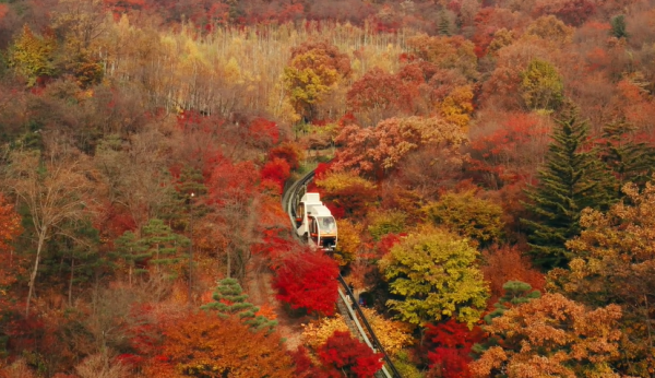 近郊賞楓景點 和談林(圖片來源:IG@hwadamsup) 近郊賞楓景點 和談林(圖片來源:IG@hwadamsup)