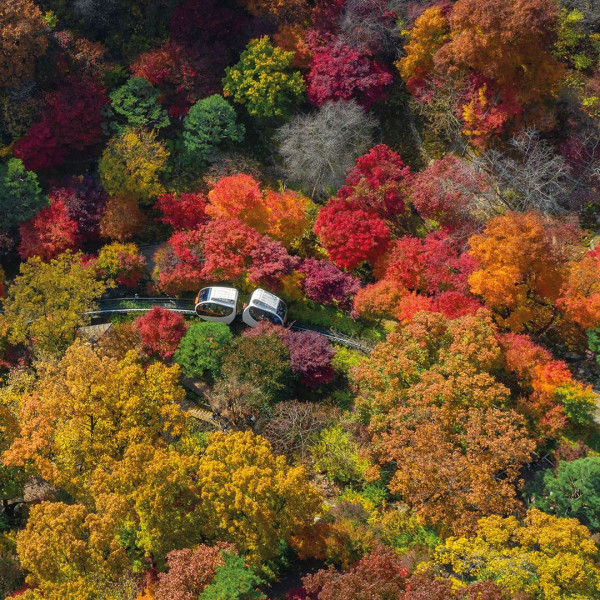 近郊賞楓景點 和談林(圖片來源:IG@hwadamsup) 近郊賞楓景點 和談林(圖片來源:IG@hwadamsup)