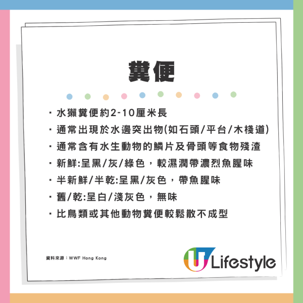 5個不為人知的雞蛋真相！盒裝雞蛋大小相似有原因？農場解構差異可達50%