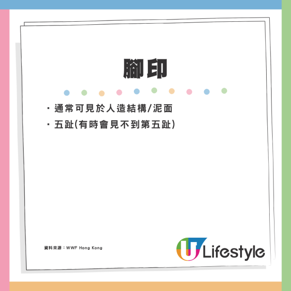 5個不為人知的雞蛋真相！盒裝雞蛋大小相似有原因？農場解構差異可達50%