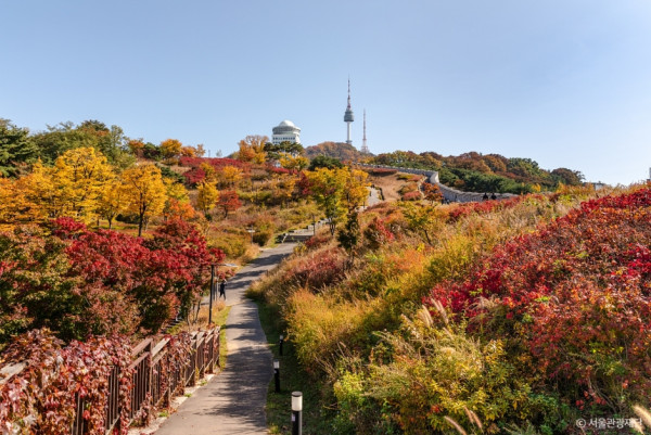 市區賞楓景點 南山公園(圖片來源:韓國觀光公社) 市區賞楓景點 南山公園(圖片來源:韓國觀光公社)