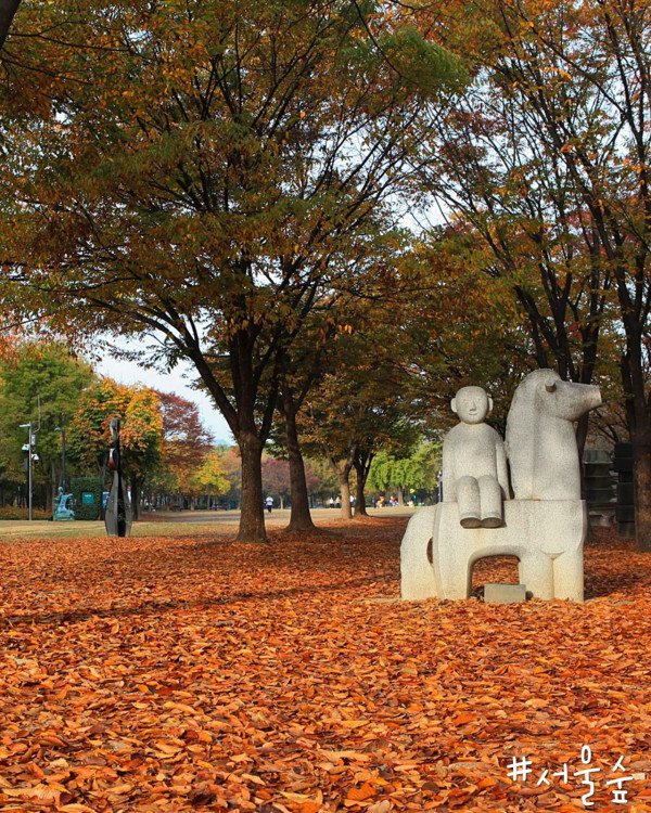 市區賞楓景點 首爾林(圖片來源:Facebook@서울의 공원) 市區賞楓景點 首爾林(圖片來源:Facebook@서울의 공원)