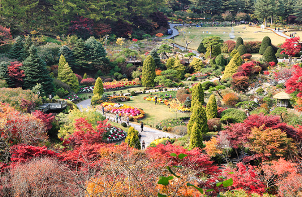 近郊賞楓景點 晨靜樹木園(圖片來源:晨靜樹木園官網) 近郊賞楓景點 晨靜樹木園(圖片來源:晨靜樹木園官網)
