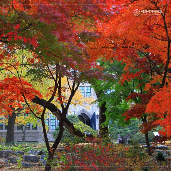 市區賞楓景點 梨花女子大學(圖片來源:Facebook@이화여자대학교 Ewha Womans University) 市區賞楓景點 梨花女子大學(圖片來源:Facebook@이화여자대학교 Ewha Womans University)