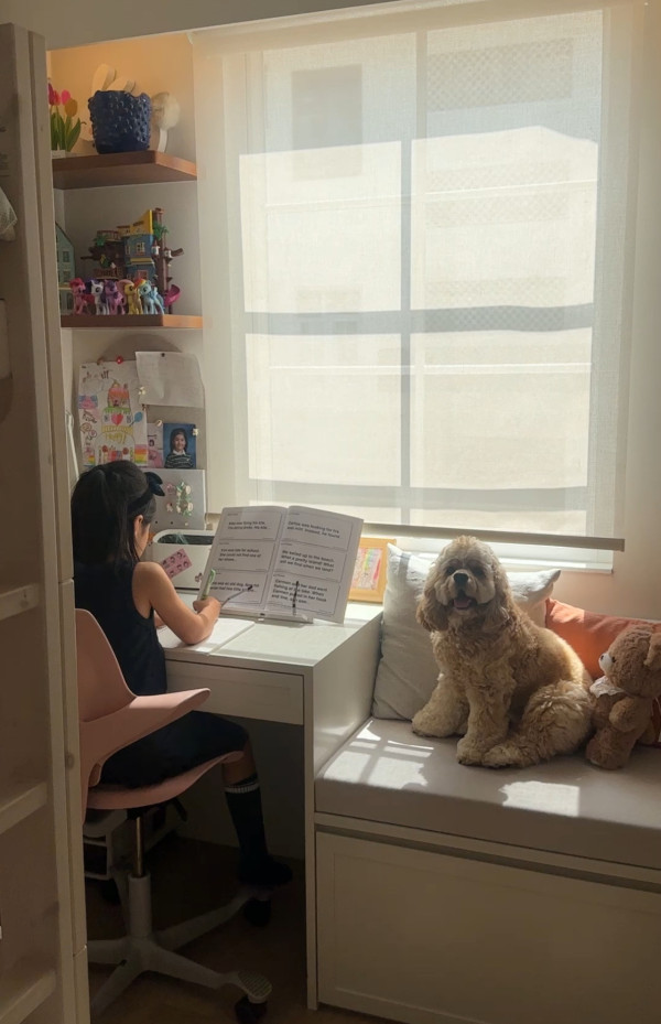 張茆帶外籍丈夫北上消費「見世面」 逛山姆超市滿載而歸埋單4位數 