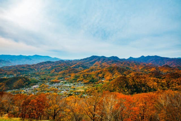 日本紅葉2024｜追楓之旅必備！紅葉預測、賞楓景點、交通資訊懶人包