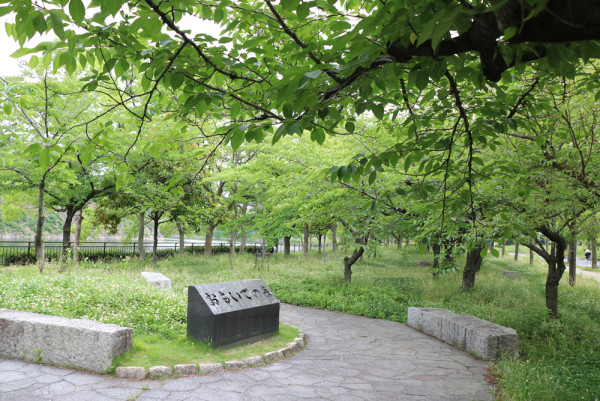 大阪紅葉｜相片來源：大阪城公園官網