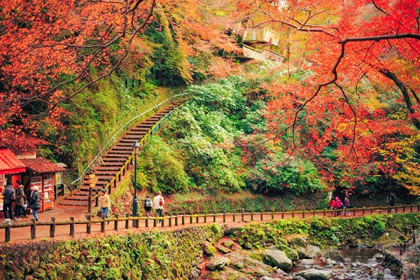 大阪紅葉｜相片來源：Osaka.Info、Japan Travel