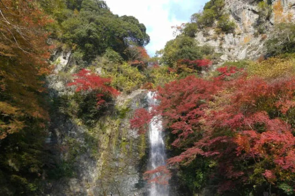 大阪紅葉｜相片來源：Osaka.Info、Japan Travel