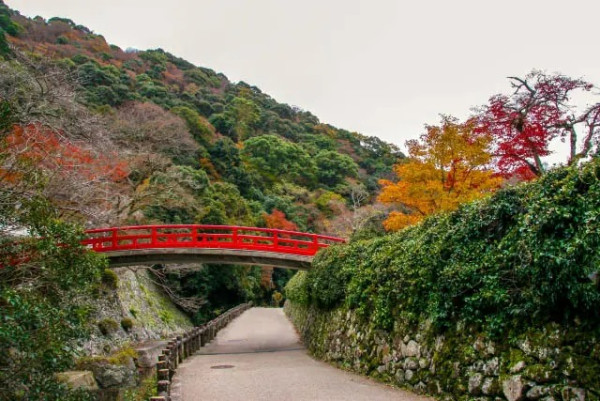 大阪紅葉｜相片來源：Osaka.Info、Japan Travel