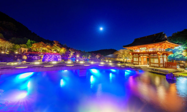 大阪紅葉｜相片來源：Enjoy-Osaka-Kyoto-Kobe.com