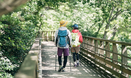 大阪紅葉｜相片來源：Forest of Osaka