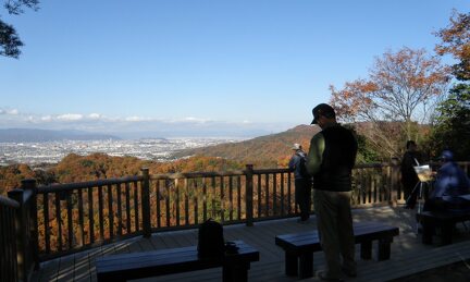 大阪紅葉｜相片來源：Forest of Osaka