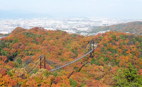 大阪紅葉｜相片來源：Forest of Osaka