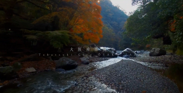 大阪紅葉｜相片來源：高槻市観光協会