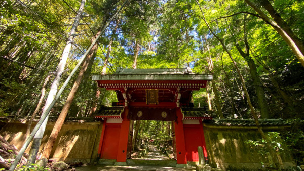 大阪紅葉｜相片來源：泉佐野市觀光協會