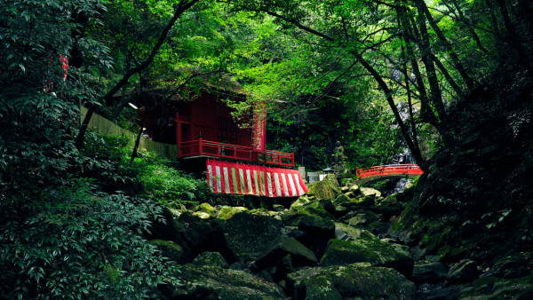 大阪紅葉｜相片來源：泉佐野市觀光協會