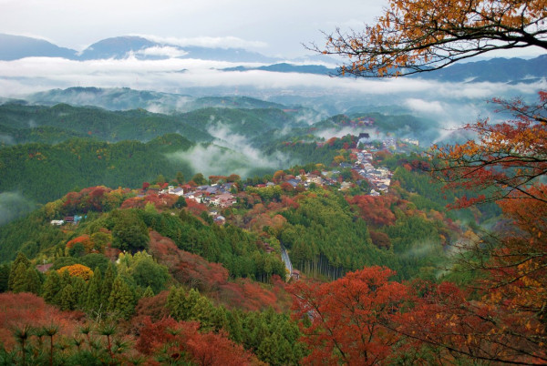 大阪紅葉｜相片來源：紅葉名所2023