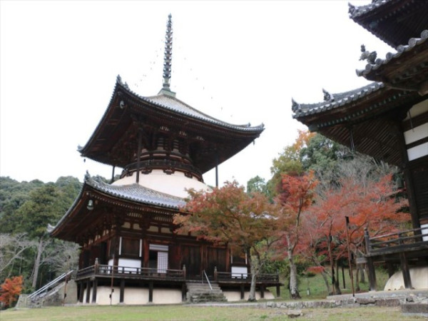 大阪紅葉｜相片來源：和歌山県観光連盟