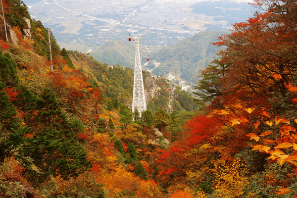 大阪紅葉｜相片來源：Kintetsu Railway.JP