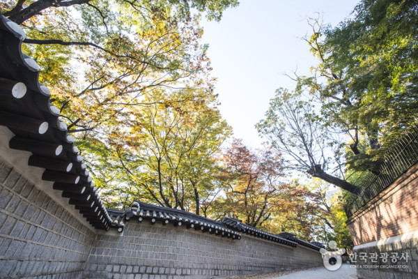 韓國紅葉｜相片來源：韓國觀光公社