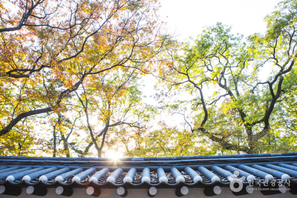 韓國紅葉｜相片來源：韓國觀光公社