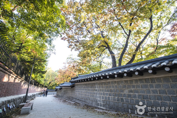 韓國紅葉｜相片來源：韓國觀光公社