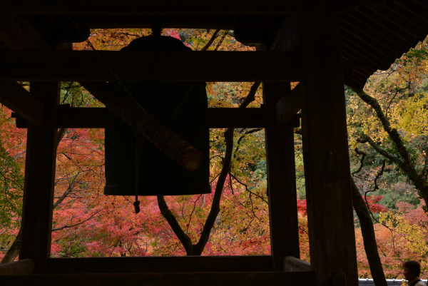 大阪紅葉｜相片來源：Nankai