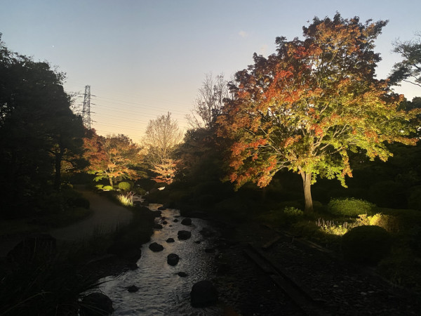 大阪紅葉｜相片來源：X@大仙公園日本庭園