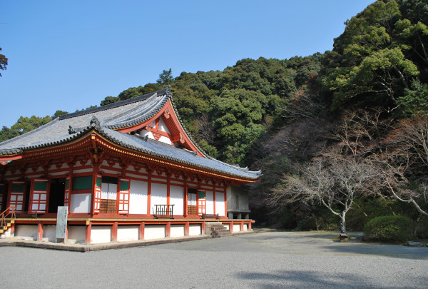 大阪紅葉｜來源：河內長野市觀光協會