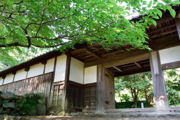 九州紅葉｜相片來源：福岡縣觀光聯盟