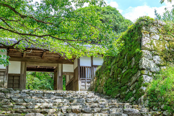 九州紅葉｜相片來源：福岡縣觀光聯盟